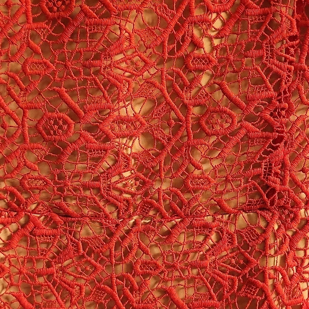 Alice by Temperley Dress - Picture 2 of 6